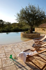 Extérieur piscine californienne