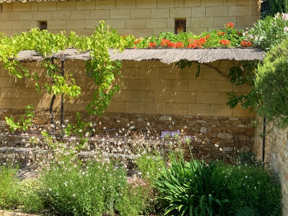 6bcYOeEqSymukXcjzkWFYg